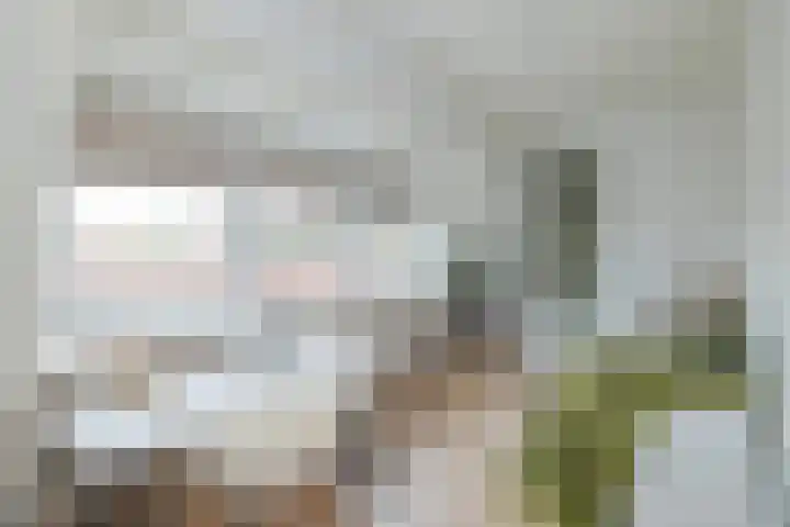 Karel van Manderstraat 44 Haarlem thumbnail 28