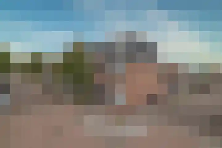 Karel van Manderstraat 44 Haarlem thumbnail 36