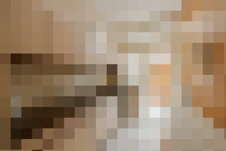 Karel van Manderstraat 49 Haarlem thumbnail 11