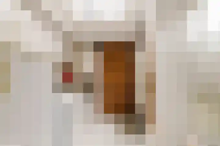 Karel van Manderstraat 49 Haarlem thumbnail 12
