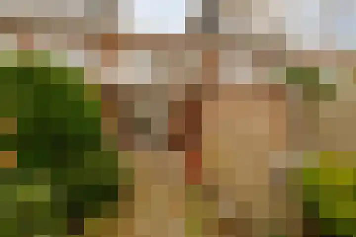 Karel van Manderstraat 49 Haarlem thumbnail 15