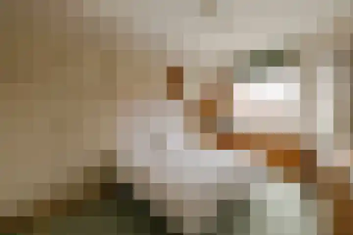 Karel van Manderstraat 49 Haarlem thumbnail 21