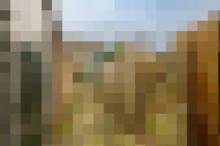 Karel van Manderstraat 49 Haarlem thumbnail 31