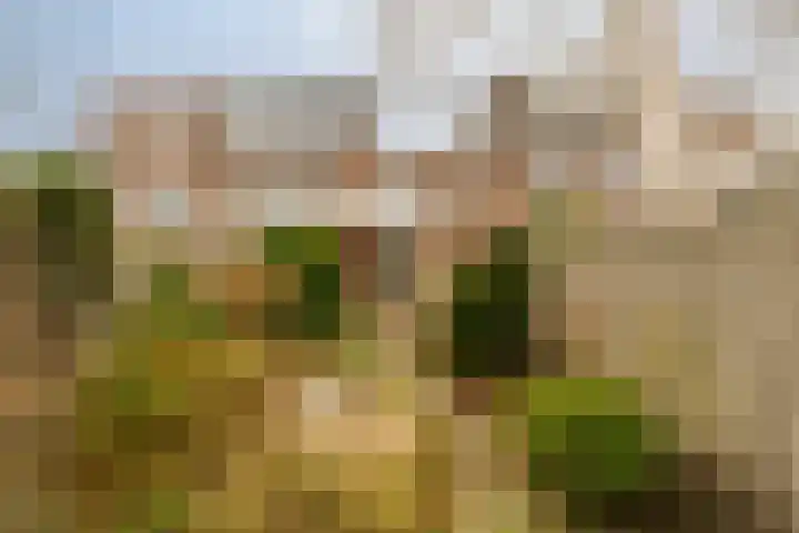 Karel van Manderstraat 49 Haarlem thumbnail 4