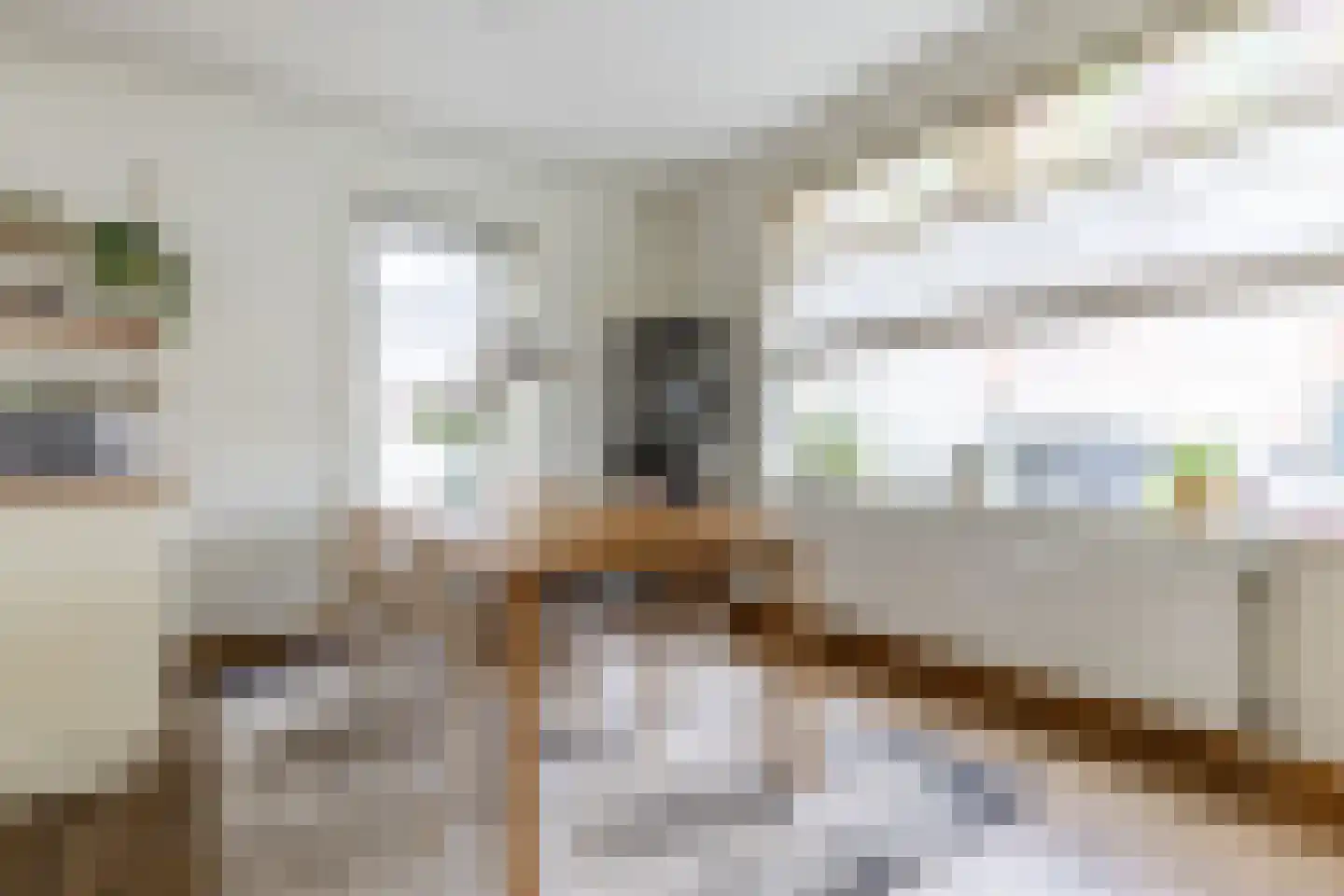 Karel van Manderstraat 61 Haarlem thumbnail 10