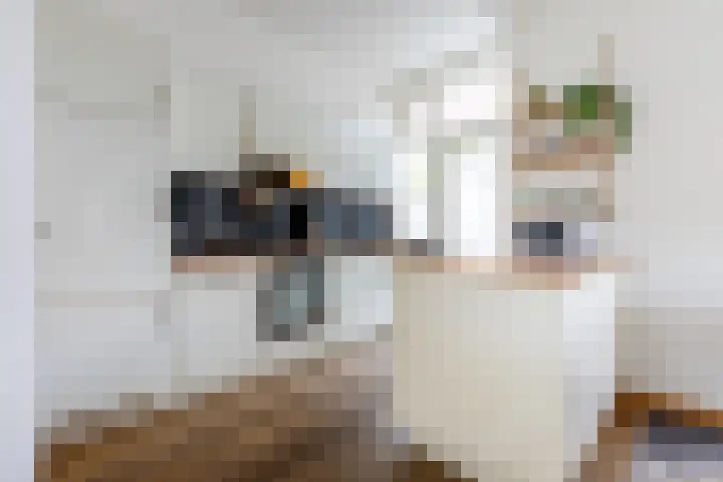 Karel van Manderstraat 61 Haarlem thumbnail 12