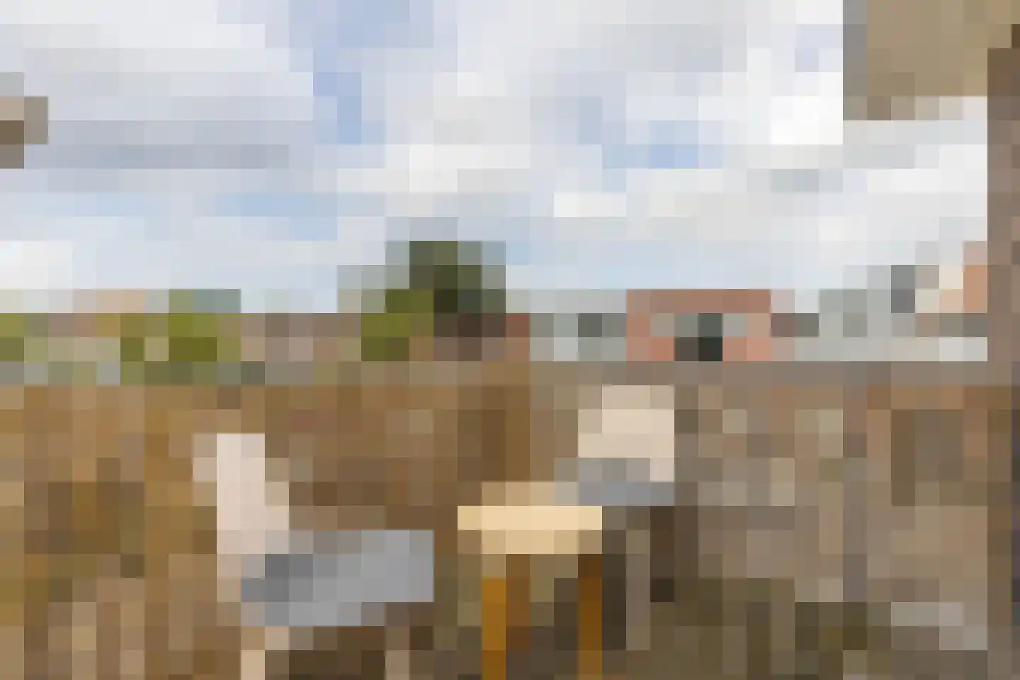 Karel van Manderstraat 61 Haarlem thumbnail 18