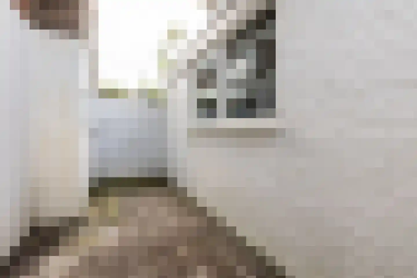 Karel van Manderstraat 61 Haarlem thumbnail 24