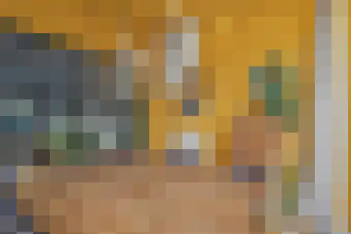 Karelplantsoen 7 Alkmaar thumbnail 13