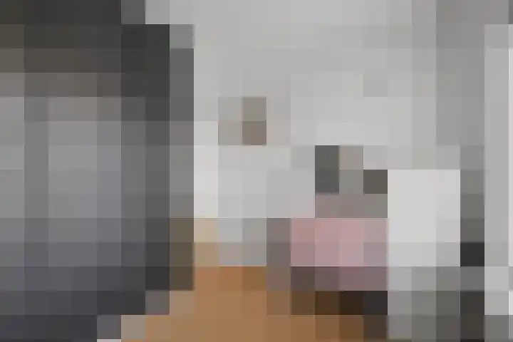 Karelplantsoen 7 Alkmaar thumbnail 27