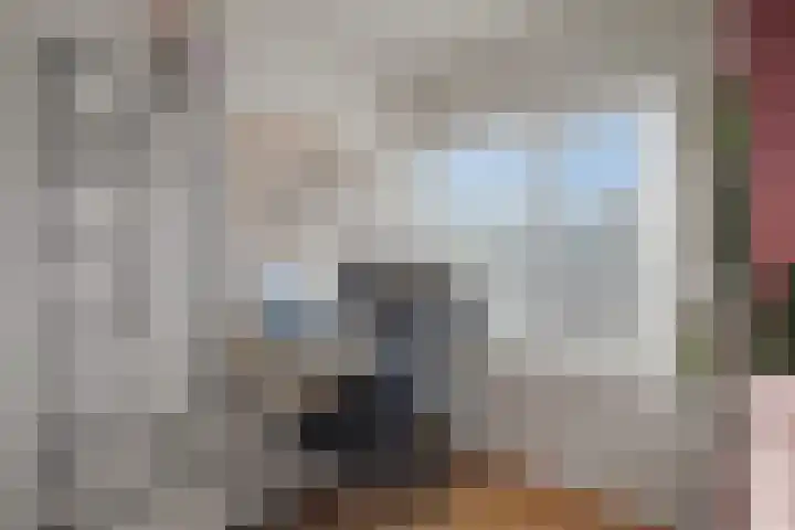 Karelplantsoen 7 Alkmaar thumbnail 29