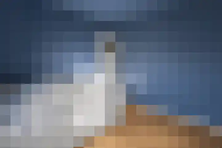 Karelplantsoen 7 Alkmaar thumbnail 33