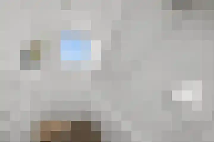 Karelplantsoen 7 Alkmaar thumbnail 37