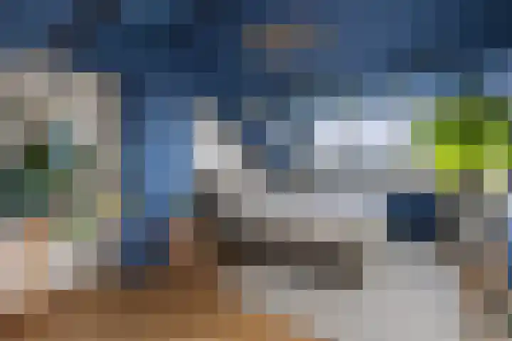 Karelplantsoen 7 Alkmaar thumbnail 41