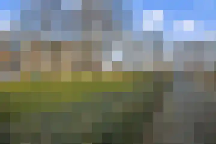 Karelplantsoen 7 Alkmaar thumbnail 48