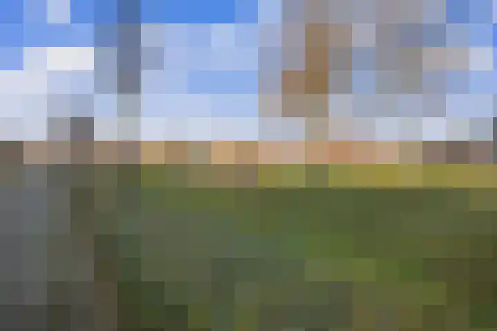 Karelplantsoen 7 Alkmaar thumbnail 49