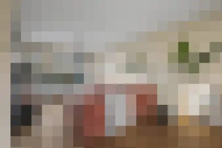Karelplantsoen 7 Alkmaar thumbnail 5
