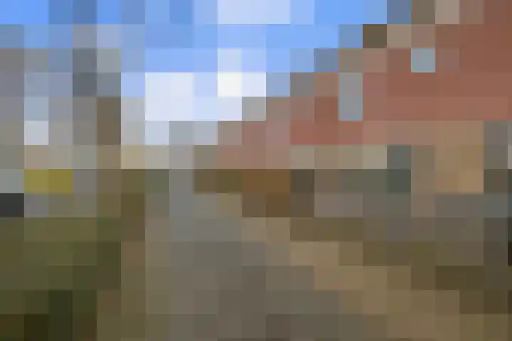 Karelplantsoen 7 Alkmaar thumbnail 54