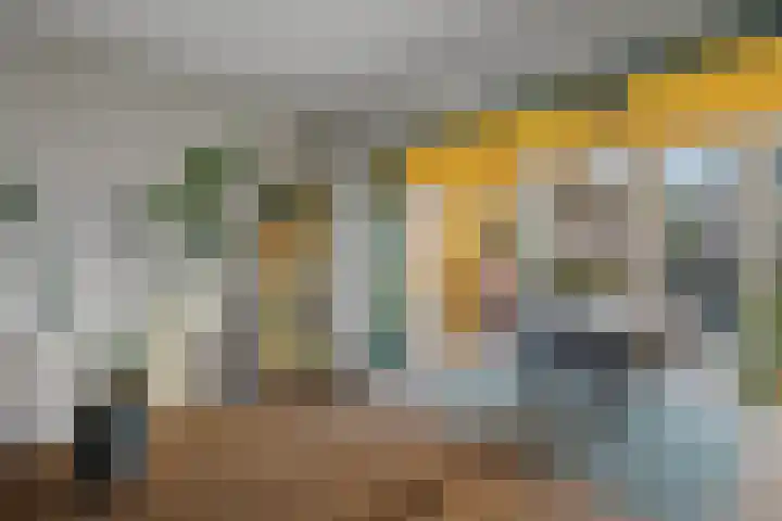 Karelplantsoen 7 Alkmaar thumbnail 9