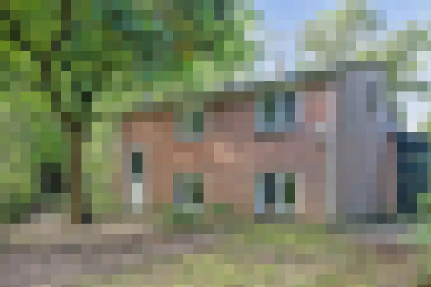Karelsdijk 2 a 01 Neede thumbnail 23