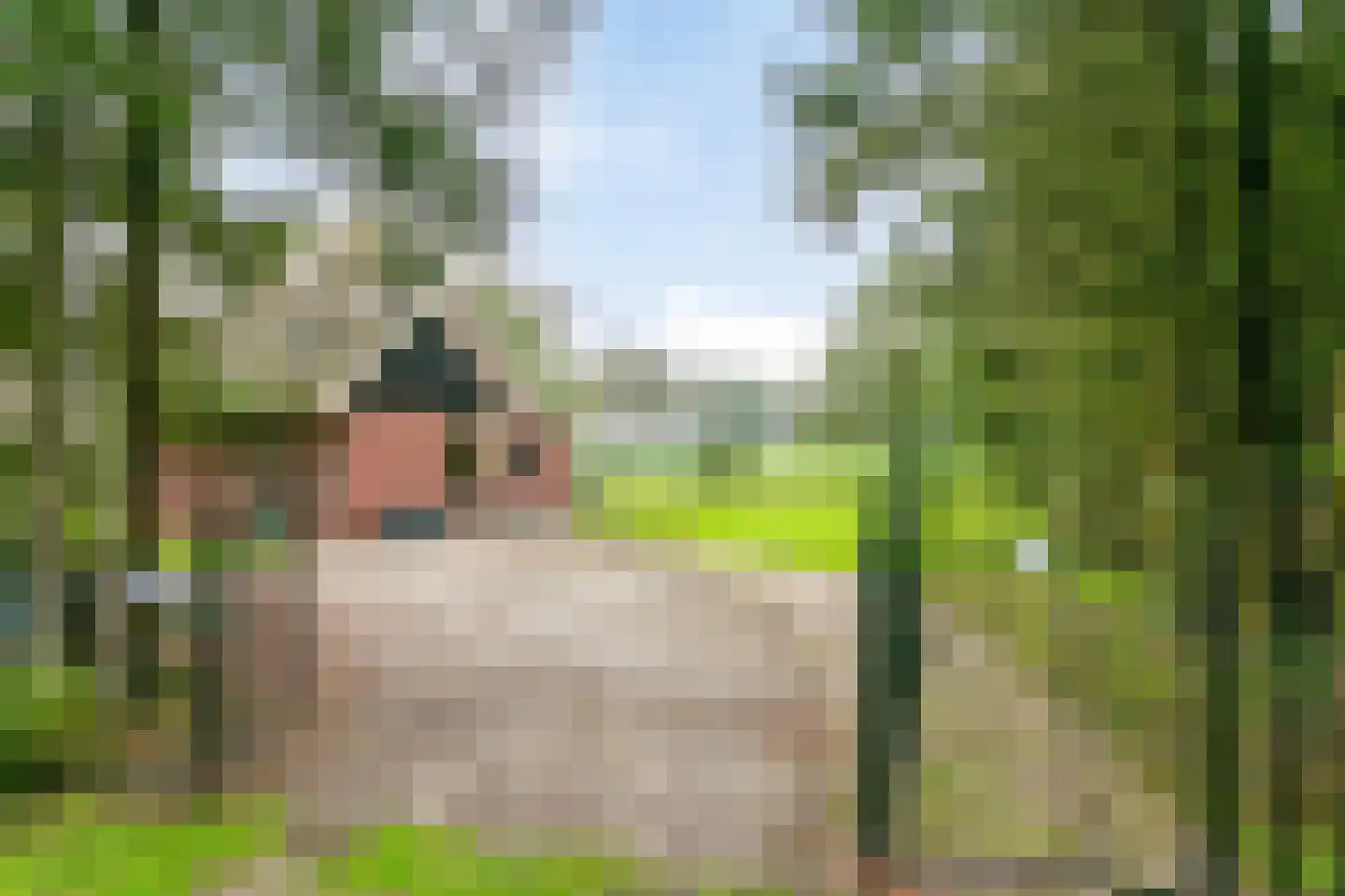 Karelsdijk 2 a 21 Neede thumbnail 22