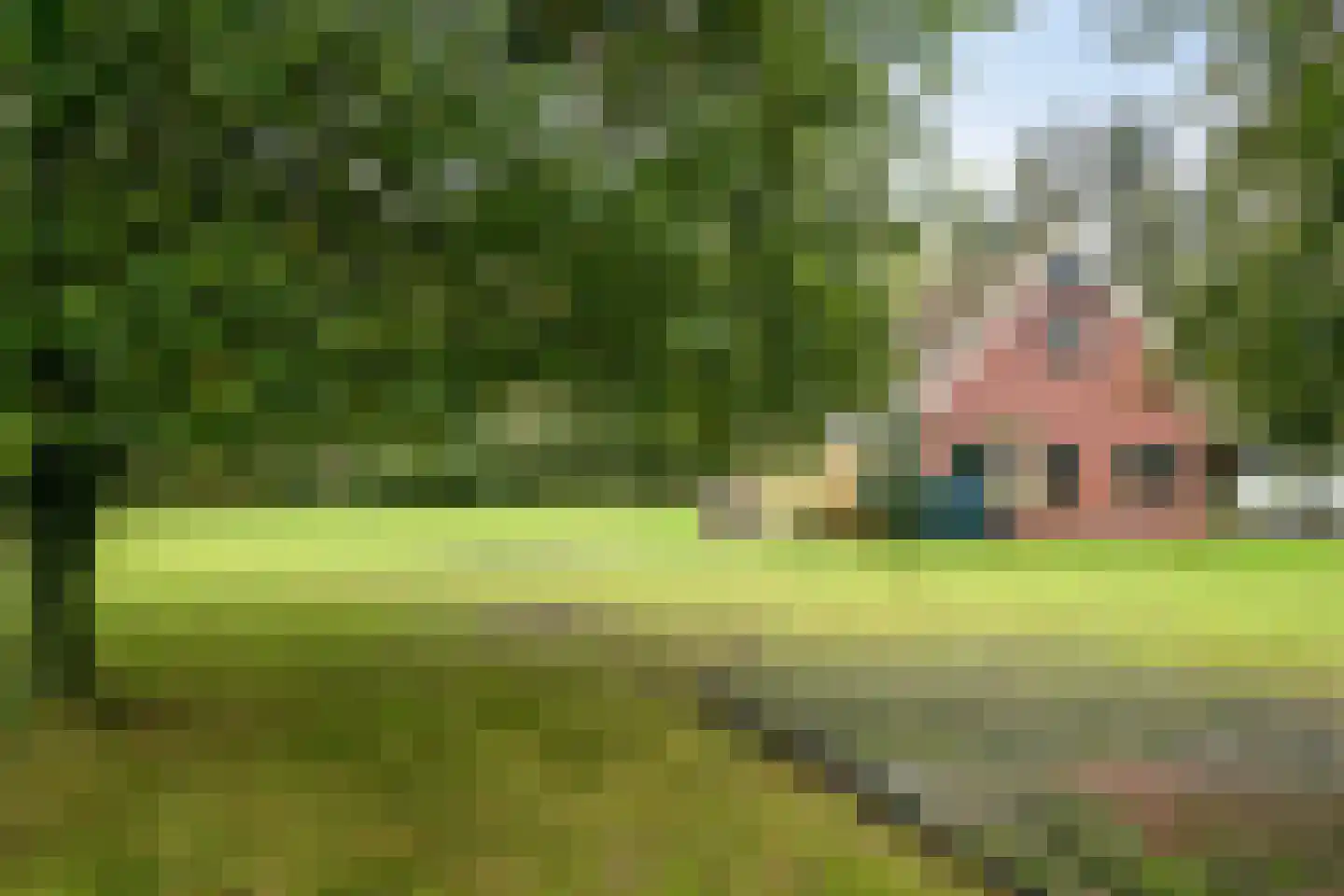 Karelsdijk 2 a 21 Neede thumbnail 24