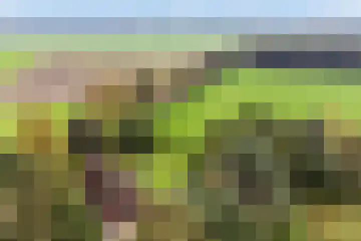 Karelsdijk 2 a 21 Neede thumbnail 26