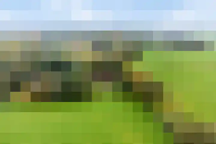 Karelsdijk 2 a 21 Neede thumbnail 27