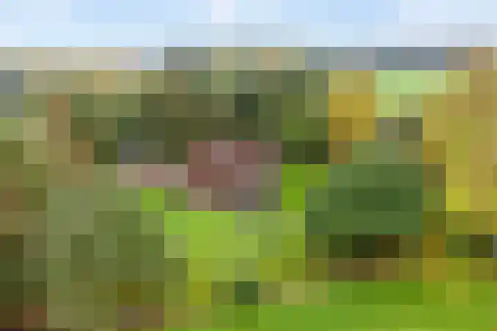 Karelsdijk 2 a 21 Neede thumbnail 28