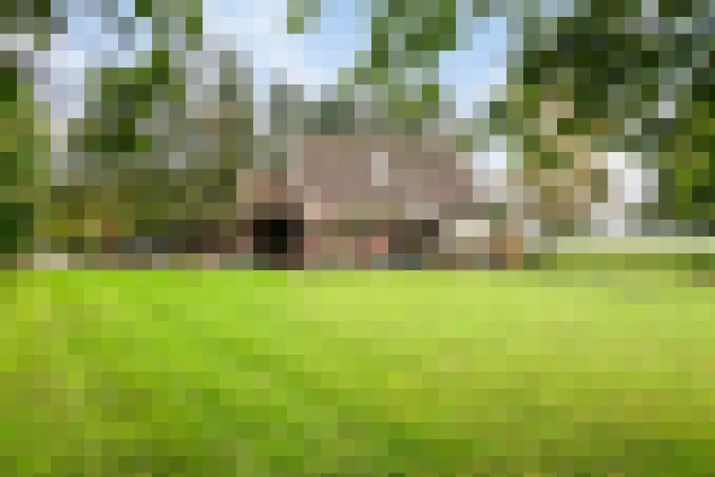 Karelsdijk 2 a 21 Neede thumbnail 30