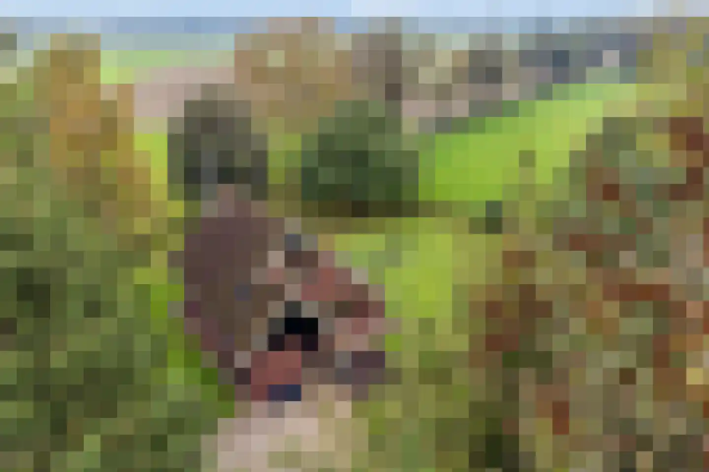 Karelsdijk 2 a 21 Neede thumbnail 31