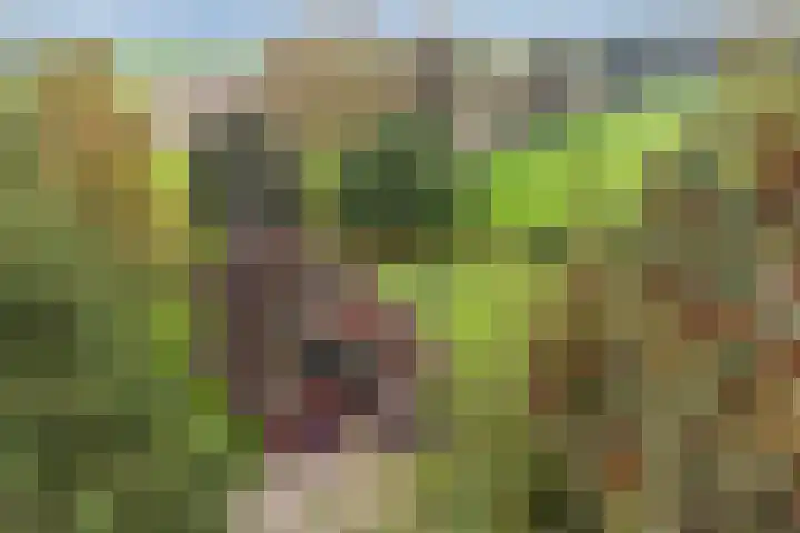 Karelsdijk 2 a 21 Neede thumbnail 31