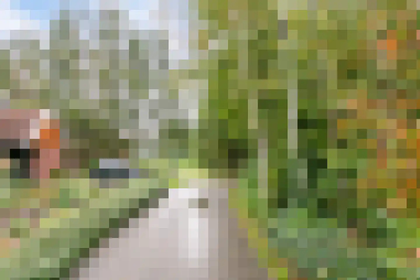 Karelsdijk 2 a 21 Neede thumbnail 33