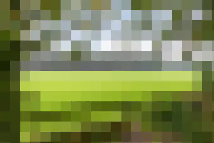 Karelsdijk 2 a 21 Neede thumbnail 4