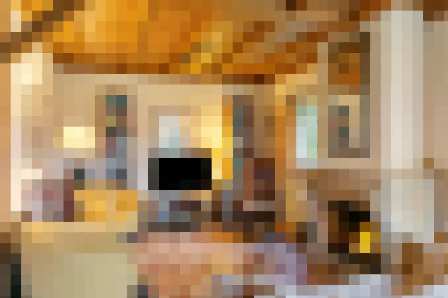 Karelsdijk 2 a 21 Neede thumbnail 5