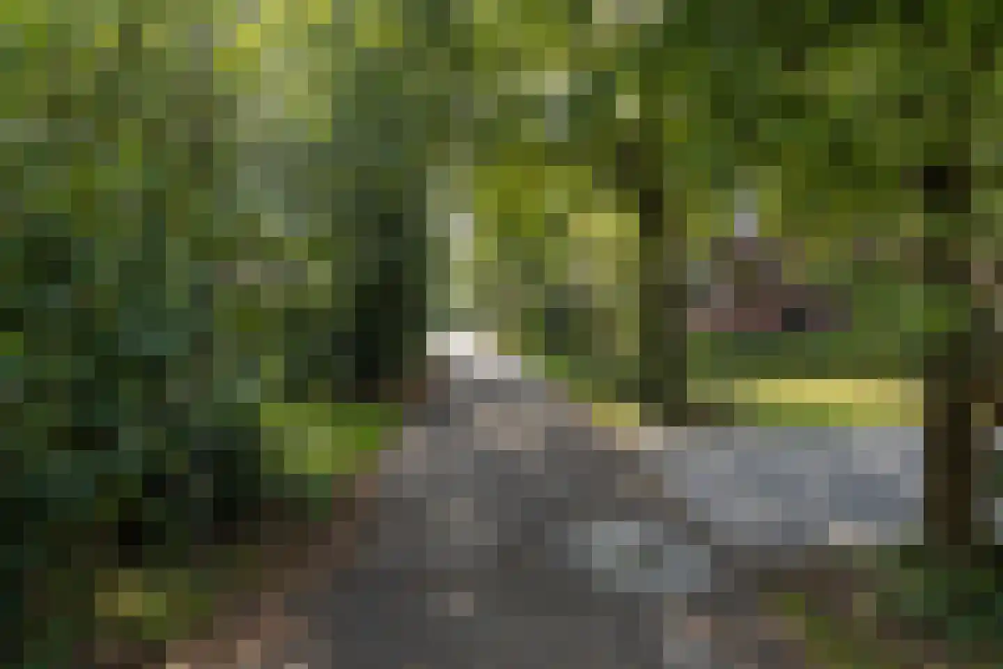 Karelsdijk 2 a 31 Neede thumbnail 28