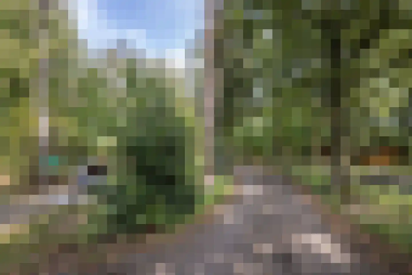 Karelsdijk 2 a 31 Neede thumbnail 30