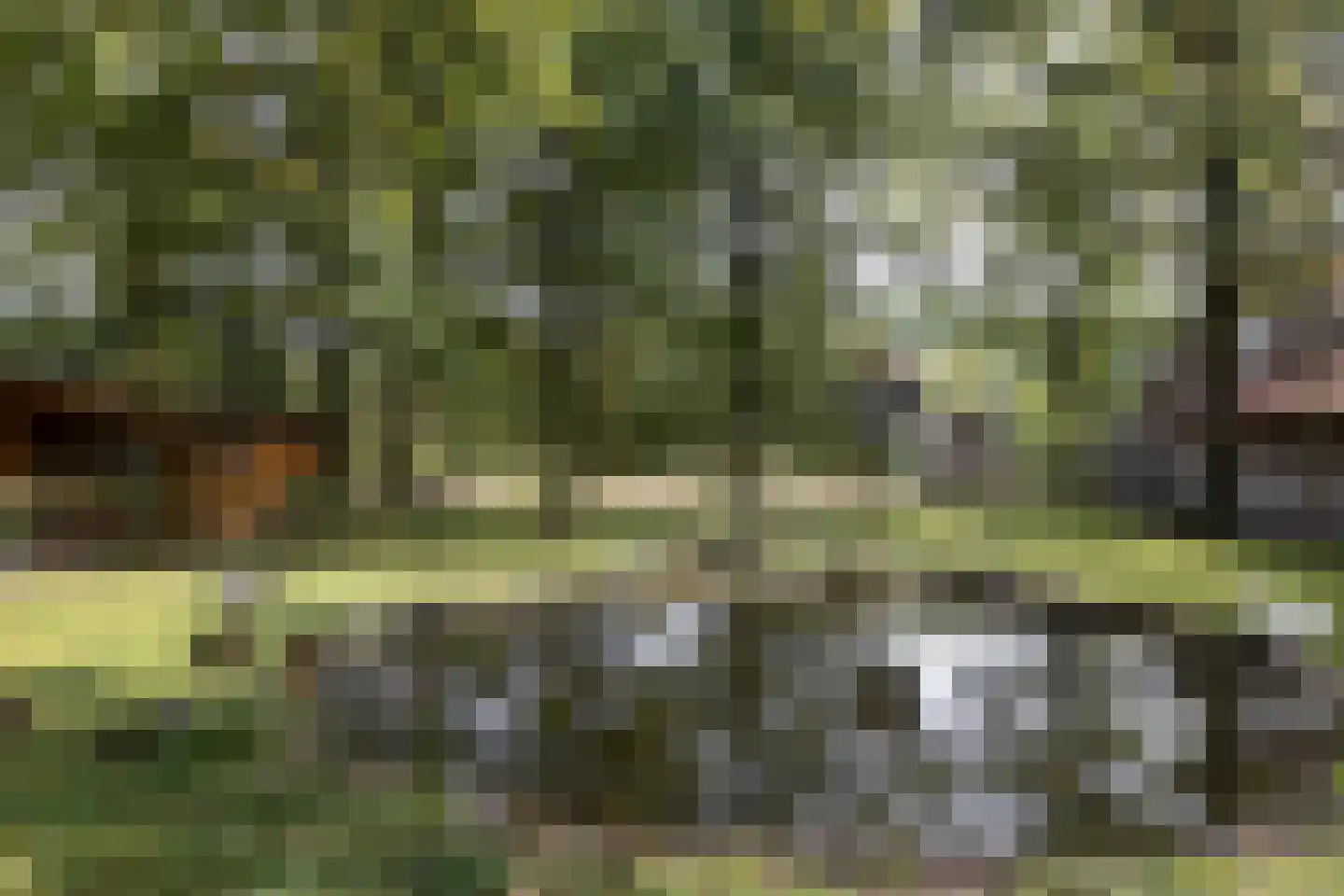 Karelsdijk 2 a 31 Neede thumbnail 31