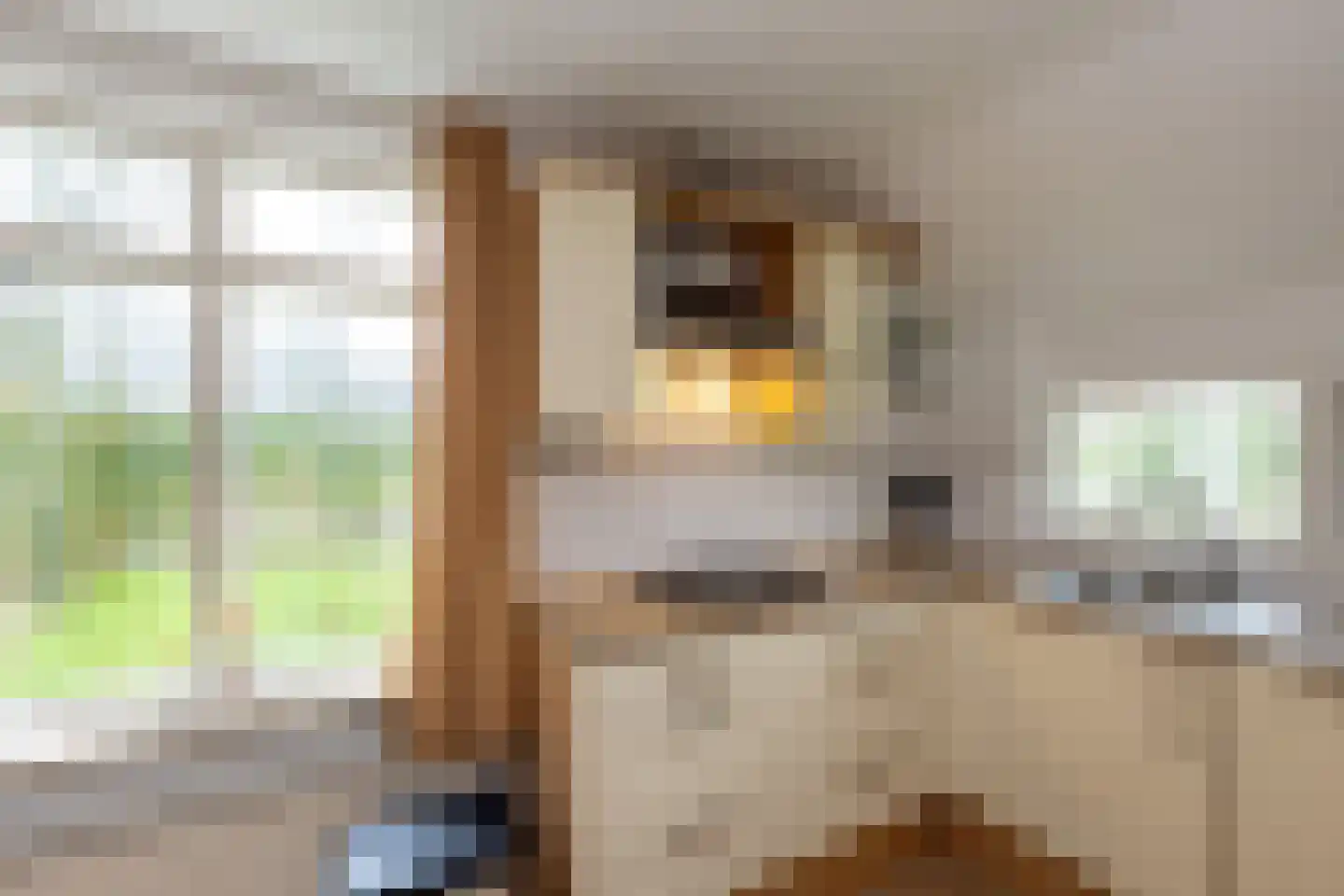 Karelsdijk 2 a 31 Neede thumbnail 7