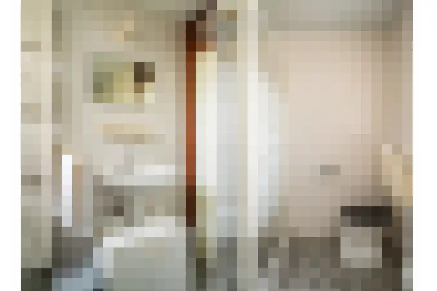 Karelspad 33 Ruinen thumbnail 28