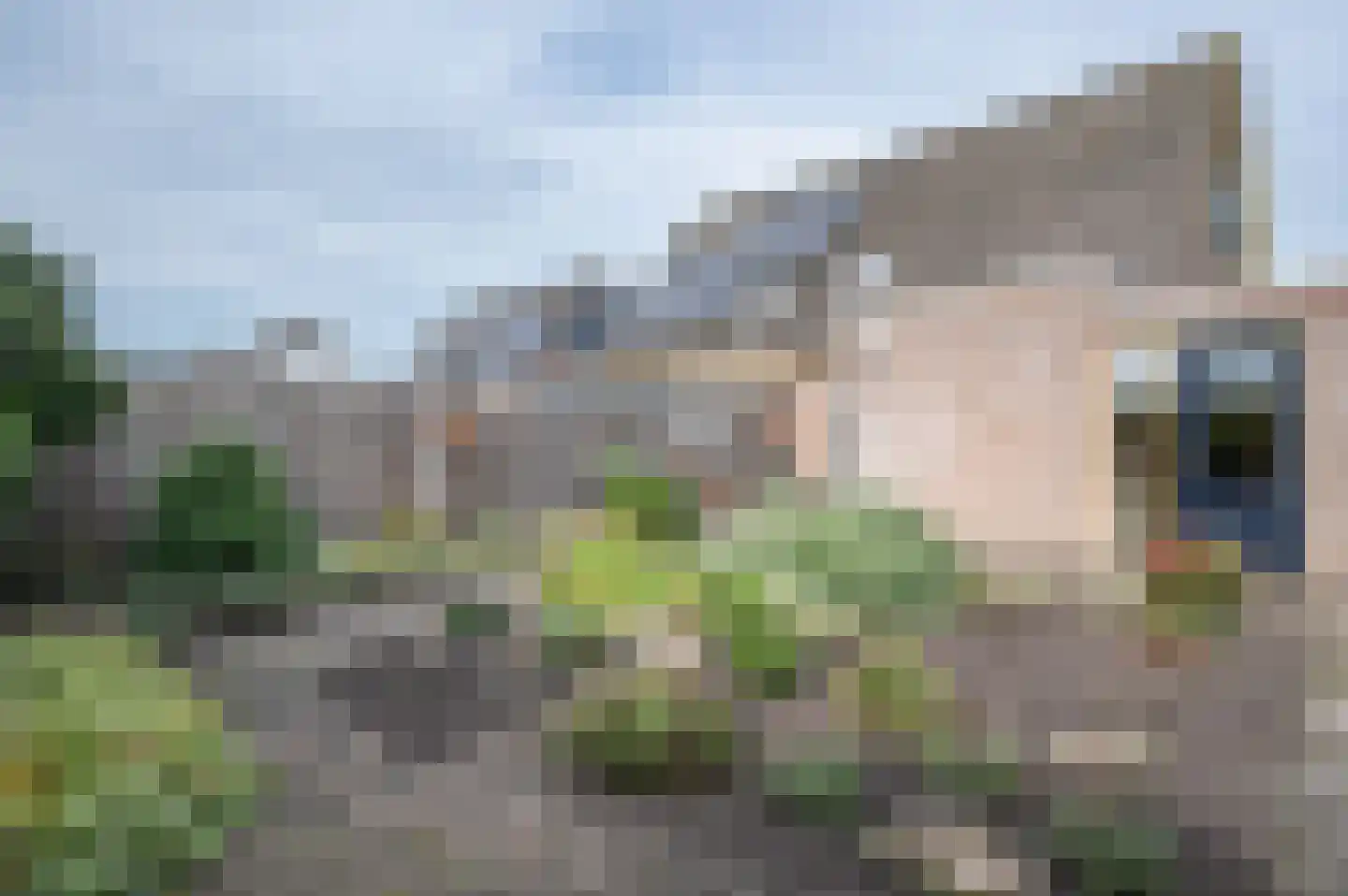 Karelspad 33 Ruinen thumbnail 31