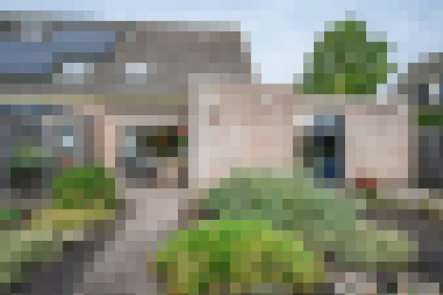 Karelspad 33 Ruinen thumbnail 6