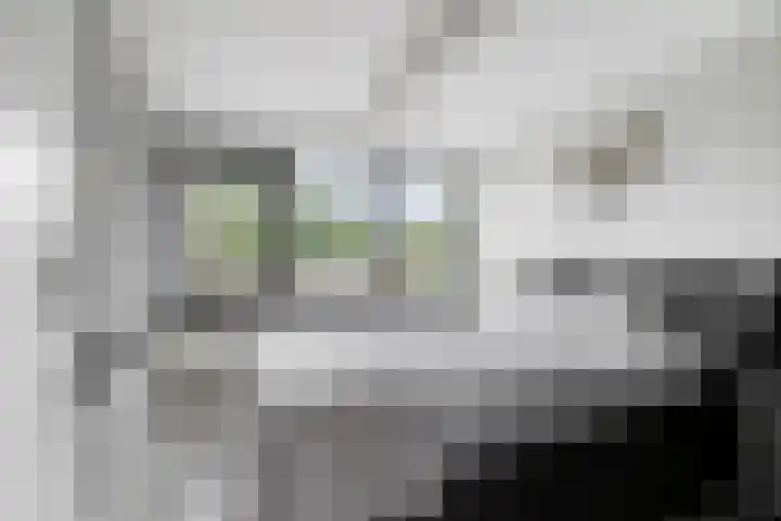 Karelstraat 7 Uden thumbnail 19