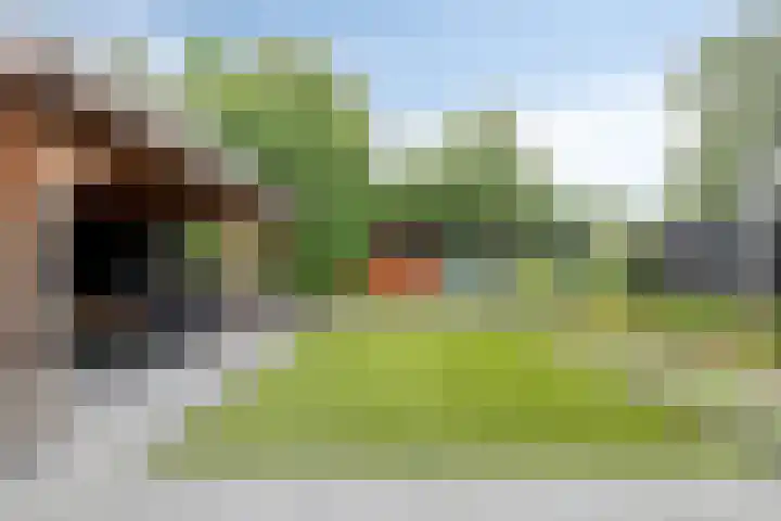 Karelstraat 7 Uden thumbnail 31