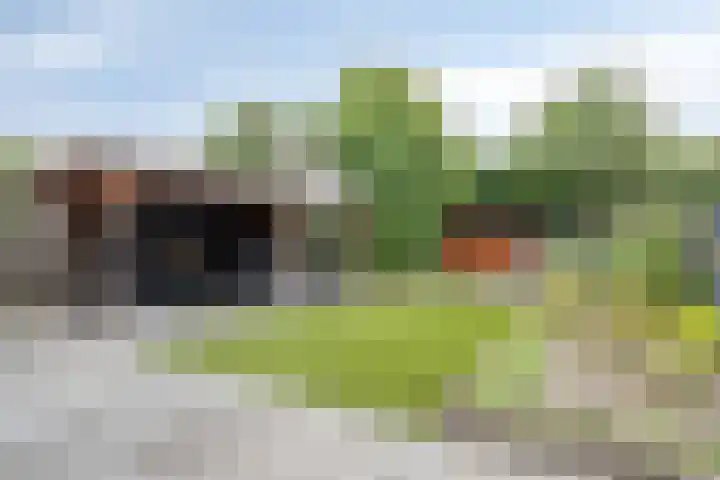 Karelstraat 7 Uden thumbnail 32