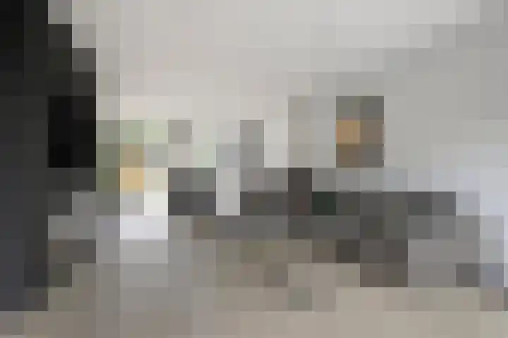 Karelstraat 7 Uden thumbnail 4