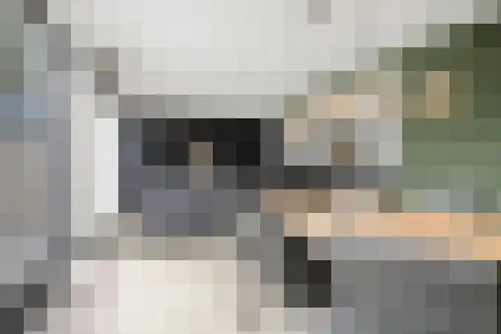 Karelstraat 7 Uden thumbnail 8