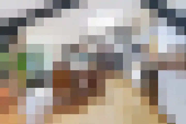 Karelstraat 7 Uden thumbnail 9