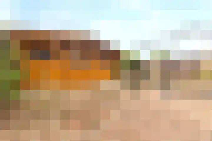 Karensstraat 30 Born thumbnail 15