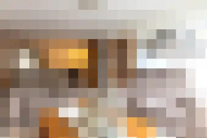 Karensstraat 30 Born thumbnail 4